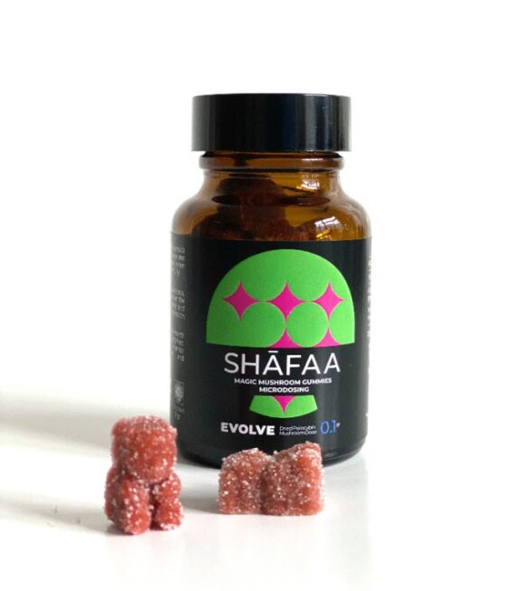 Purchase Shafaa Evolve Magic Mushroom