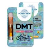 Buy The Best DMT 1ml Purecybin