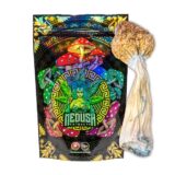Purchase Penis Envy Magic Mushrooms
